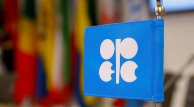 OPEC Pushes for Voluntary Measures in Global Plastic Pollution Treaty