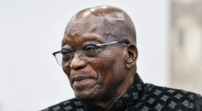 Zuma showing South Africa ‘middle finger’ by meeting Gupta brother – Minister